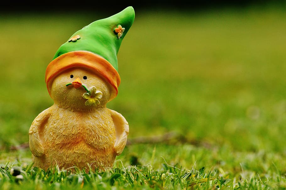 2500 Spring Gnome Stock Photos Pictures  RoyaltyFree Images  iStock