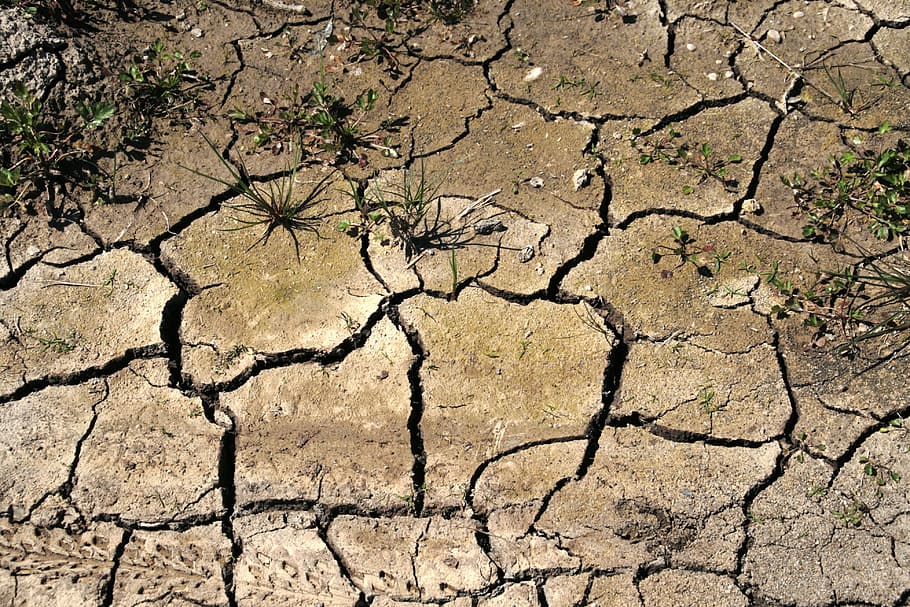 Drought, Field, Thirst, Cracks, Soil, dry, no rain, ground HD wallpaper