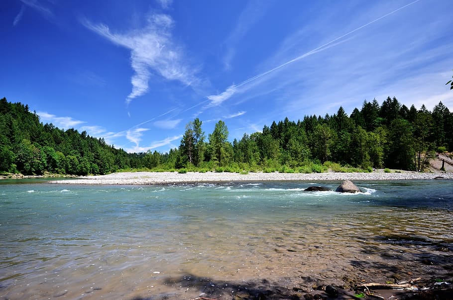river, water, trees, nature, landscape, summer, stream, outdoor HD wallpaper