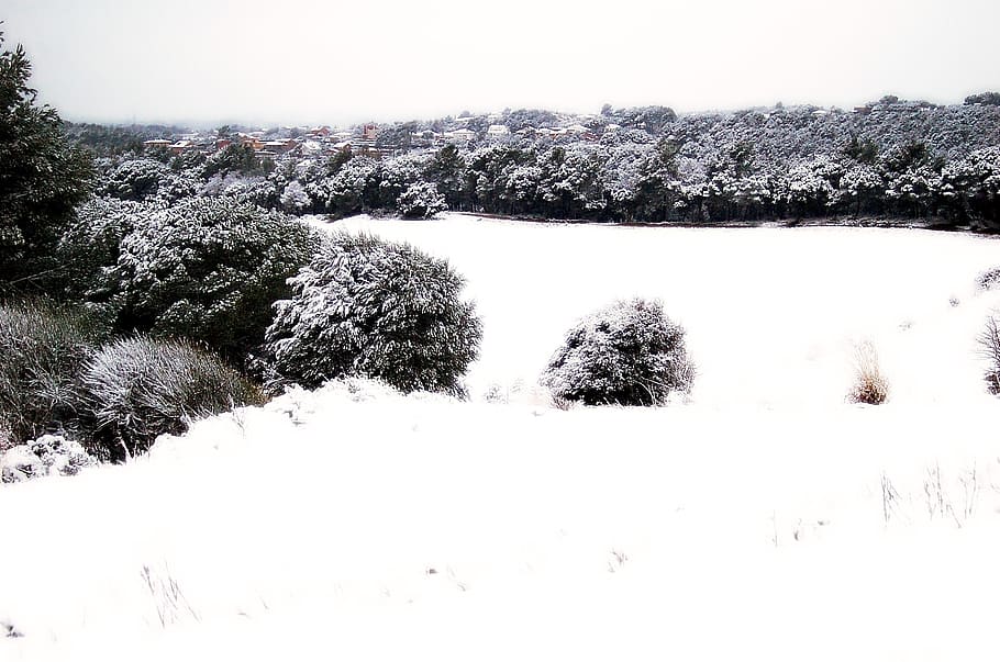 snow, nevada, winter, landscape, snowy landscape, white, cold HD wallpaper