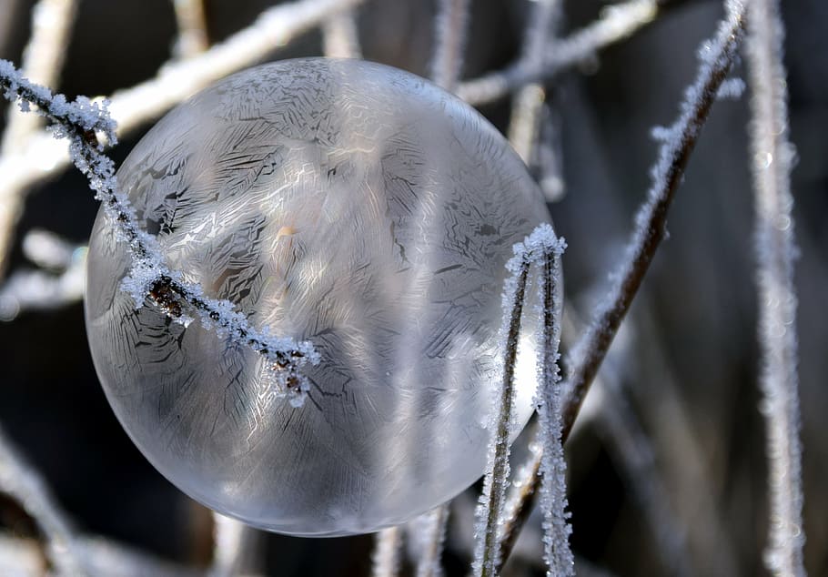 bubble, soap bubble, balls, background, winter, cold, frost HD wallpaper