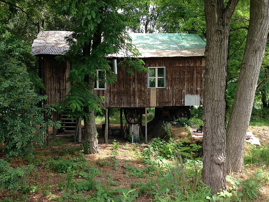 Log Cabin, Wheels, Po River, tree, built structure, architecture HD wallpaper