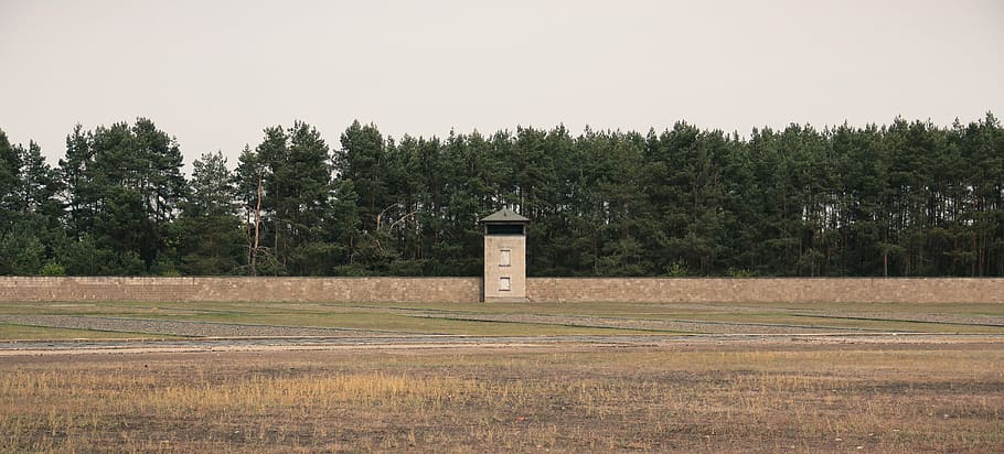 watchtower, kz, leave, tree, plant, no people, sky, nature HD wallpaper