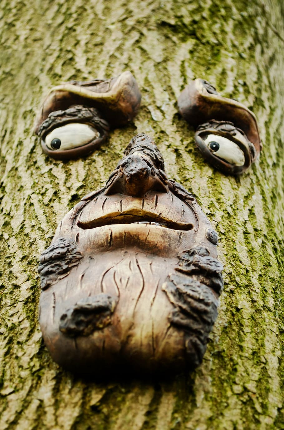 face, tree, trunk, wood, wooden, nature, art, macro, eyes, look, HD wallpaper