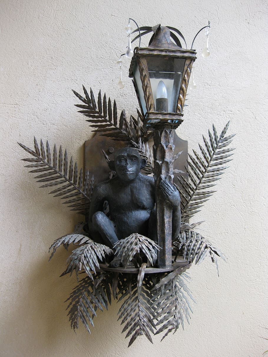 monkey, lamp, äffchen, animal, wall - building feature, no people