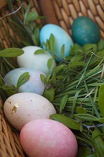 Eggs, Easter Egg, Holiday, spring, white, celebration, color HD wallpaper