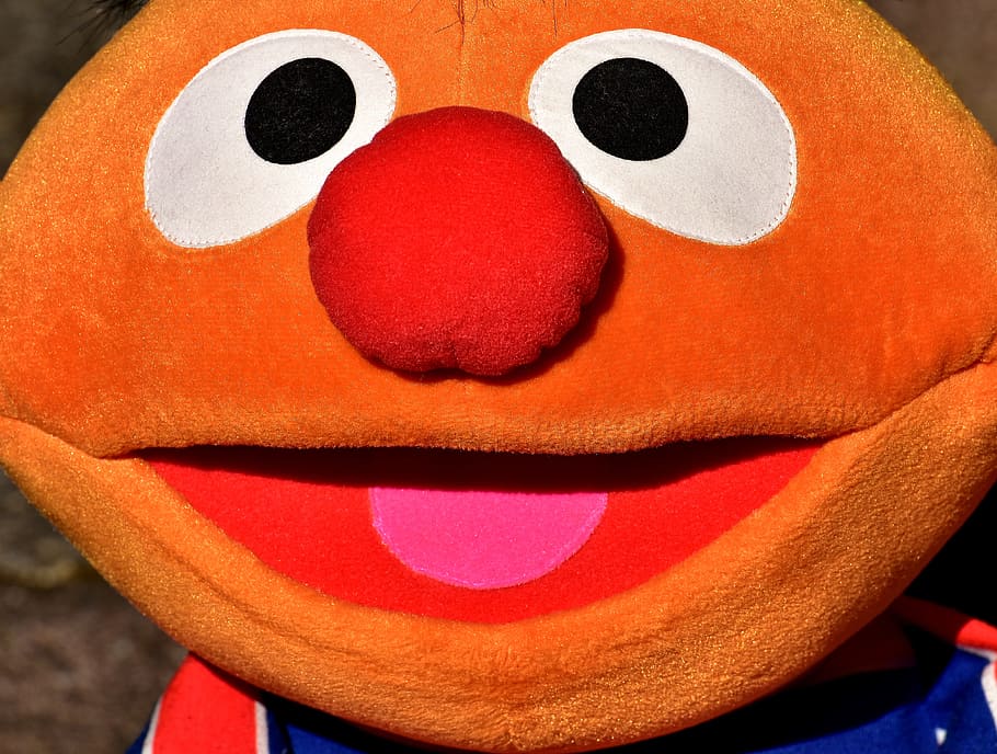 ernie, plush, funny, cute, toys, stuffed animal, soft toy, children HD wallpaper