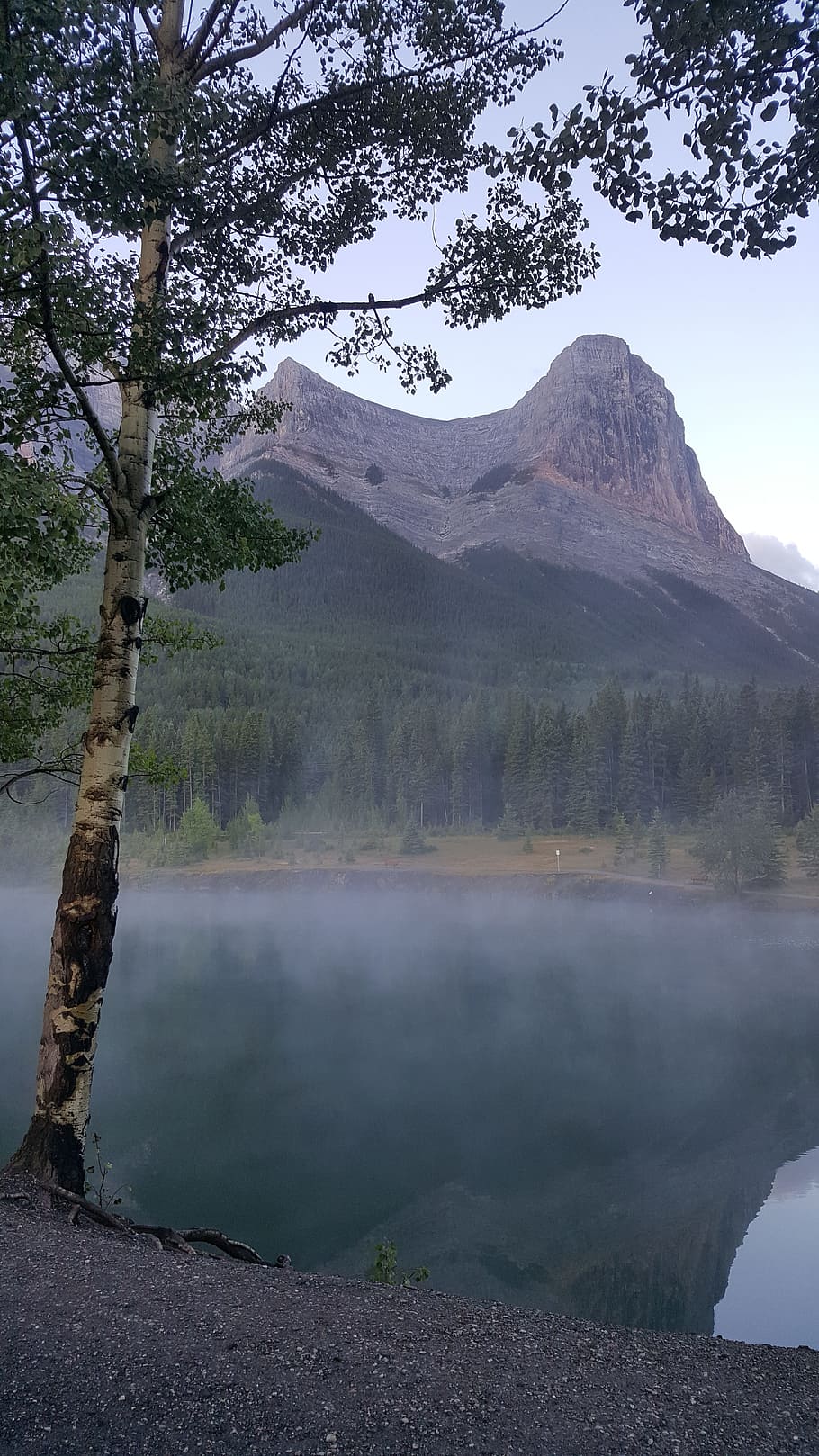 mountain, lake, peace, mist, hiking, forest, summer, reflection HD wallpaper