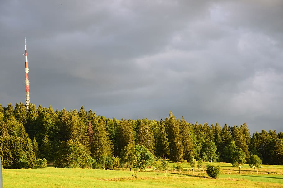 fall, forest, antenna, grey, nature, trees, wood, autumn landscape HD wallpaper