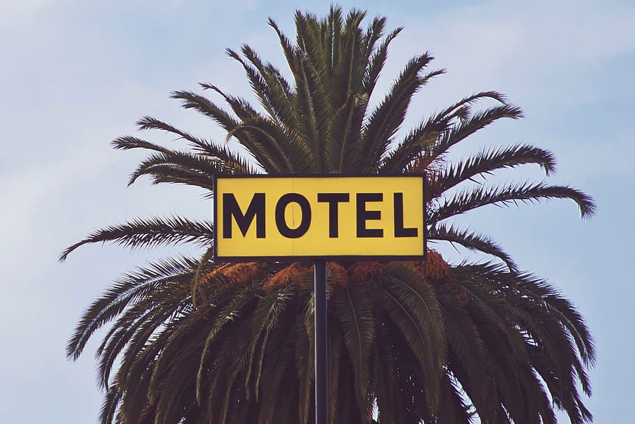 yellow and black motel signage near green palm tree at daytime HD wallpaper