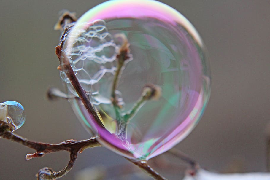 purple, background, soap bubbles, nature, close-up, vulnerability HD wallpaper