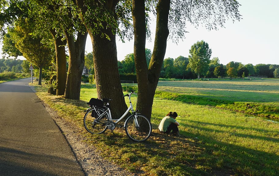 road, trees, field, landscape, rural, relaxing, woman, bicycle HD wallpaper