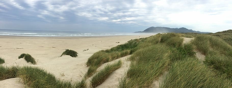 Beach, Dunes, Grass, Sand, Ocean, summer, coast, sky, blue HD wallpaper