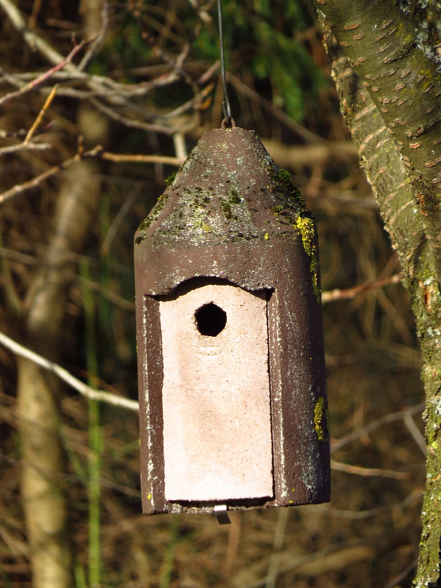 Nesting, Box, Aviary, Incubator, Tree, nesting box, leaves, HD wallpaper