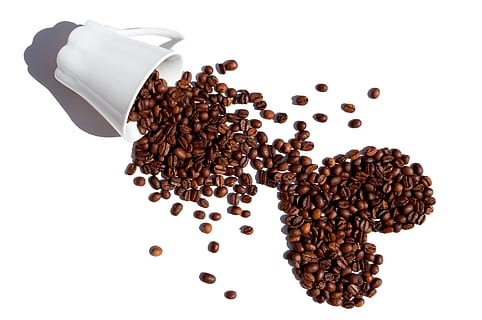 coffee beans and white ceramic mug, Coffee, Beans, Isolated HD wallpaper
