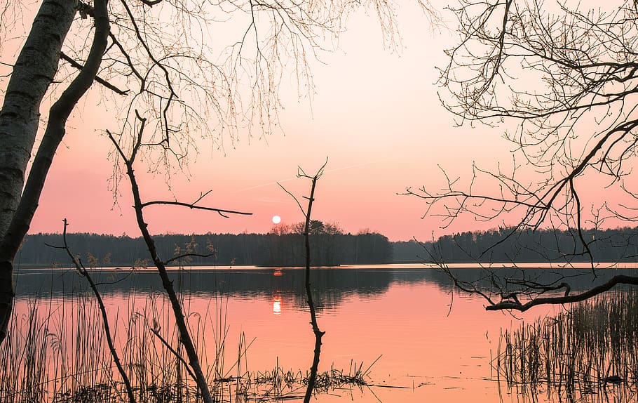 waters, nature, dawn, tree, reflection, sunset, sky, lake, tranquility HD wallpaper
