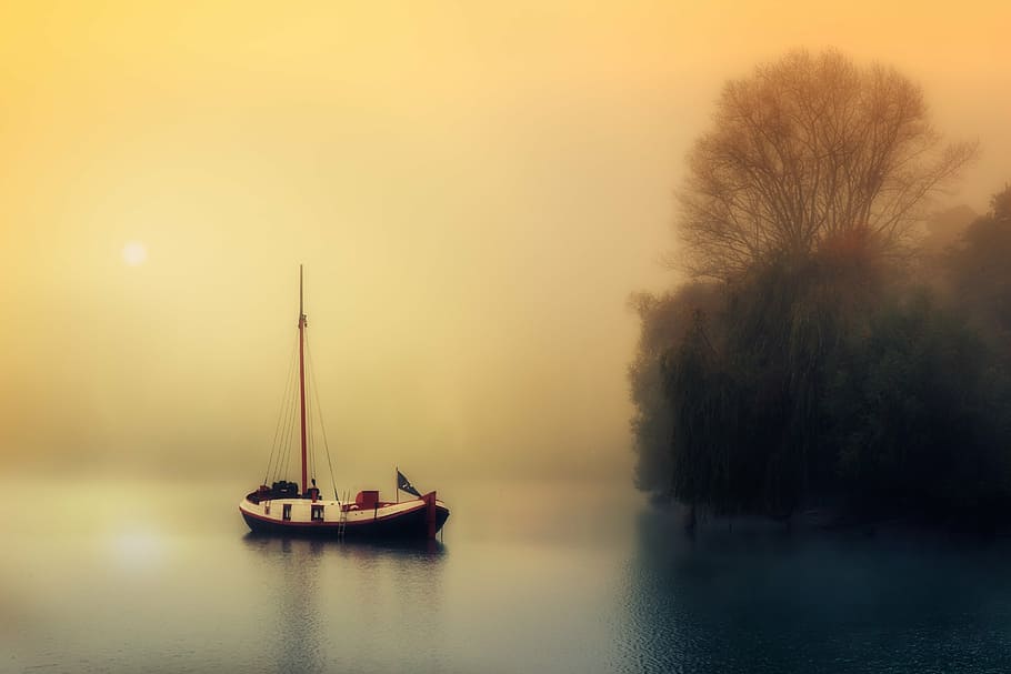 white and black sail boat on body of water near green trees HD wallpaper