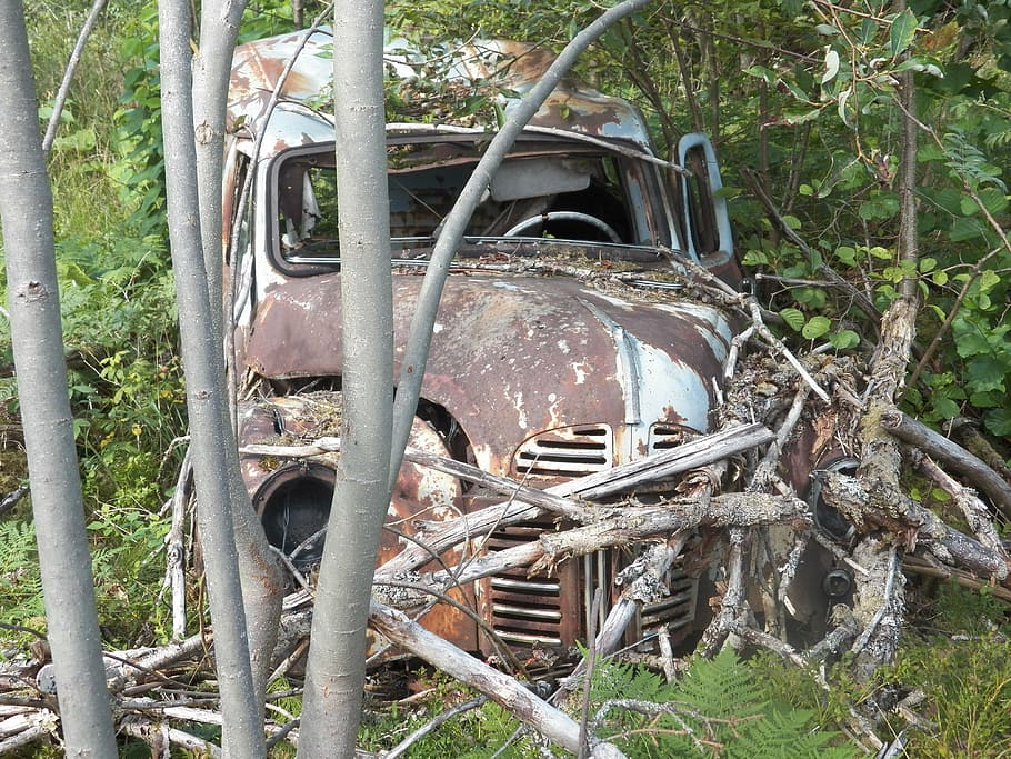 car, junk, rust, damaged, old, automobile, abandoned, rusty HD wallpaper