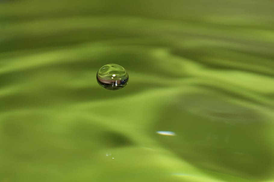 drip, liquid, green, water, green color, drop, no people, close-up HD wallpaper