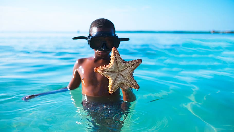 man carrying star fish, boy holding brown star fish, Snorkeling HD wallpaper