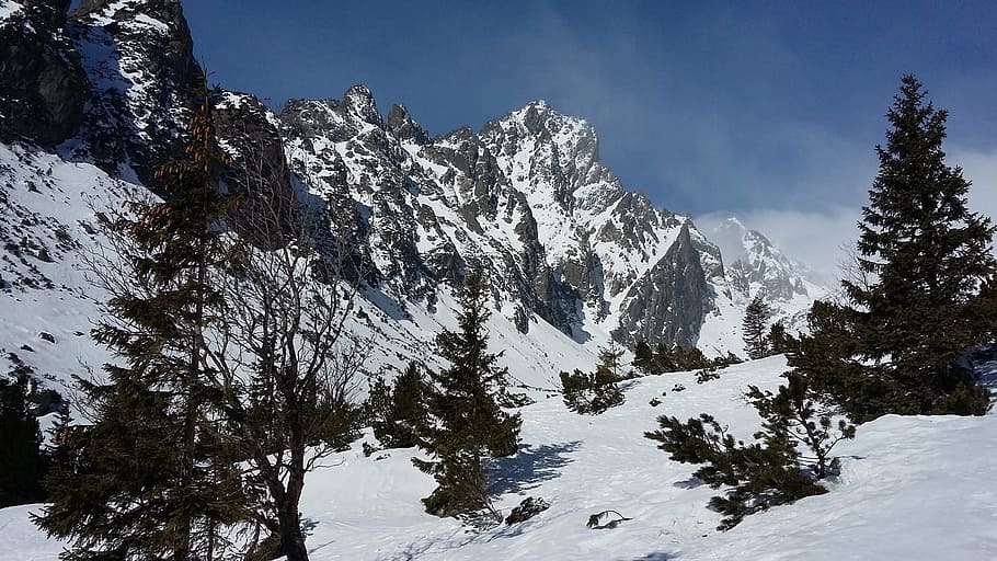 tatry, winter, sun, snow, mountain, nature, outdoors, landscape HD wallpaper