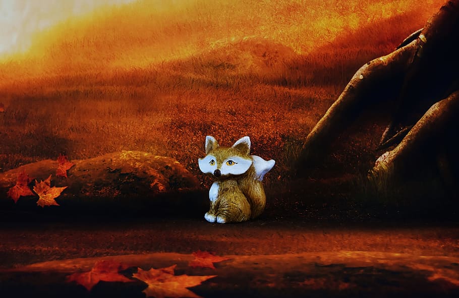 Fuchs, Forest, Mood, Landscape, autumn, one animal, animal themes HD wallpaper