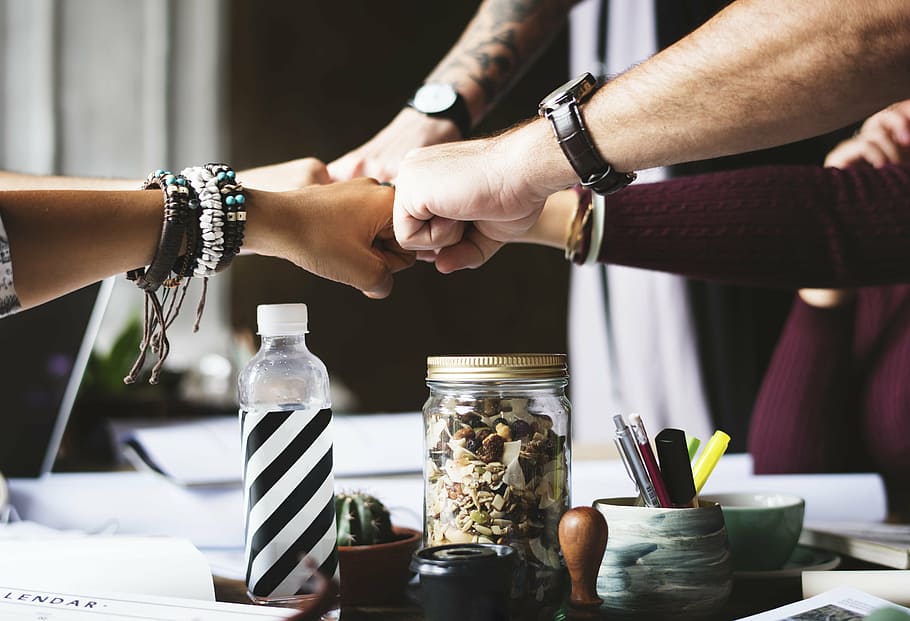 group of person doing fist bumps, action, analysis, business HD wallpaper
