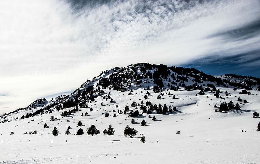 snow capped mountain with trees, tundra mountain, landscape, nature HD wallpaper