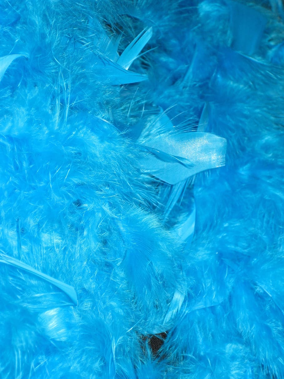 Feather Boa, Perlon, Carnival, blue, panel, fluffy, backgrounds HD wallpaper