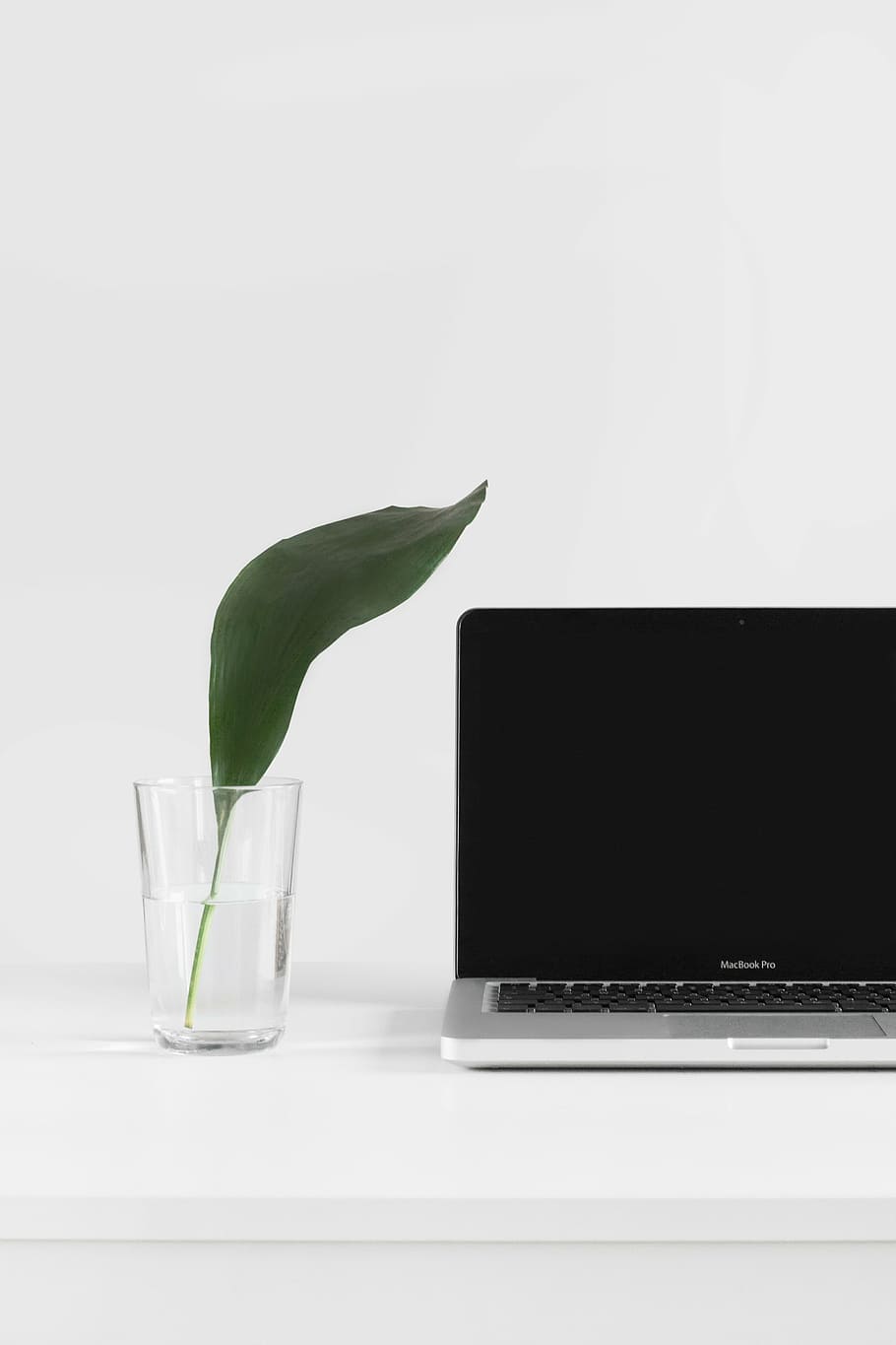 MacBook Pro beside clear glass vase, laptop, apple, keyboard HD wallpaper