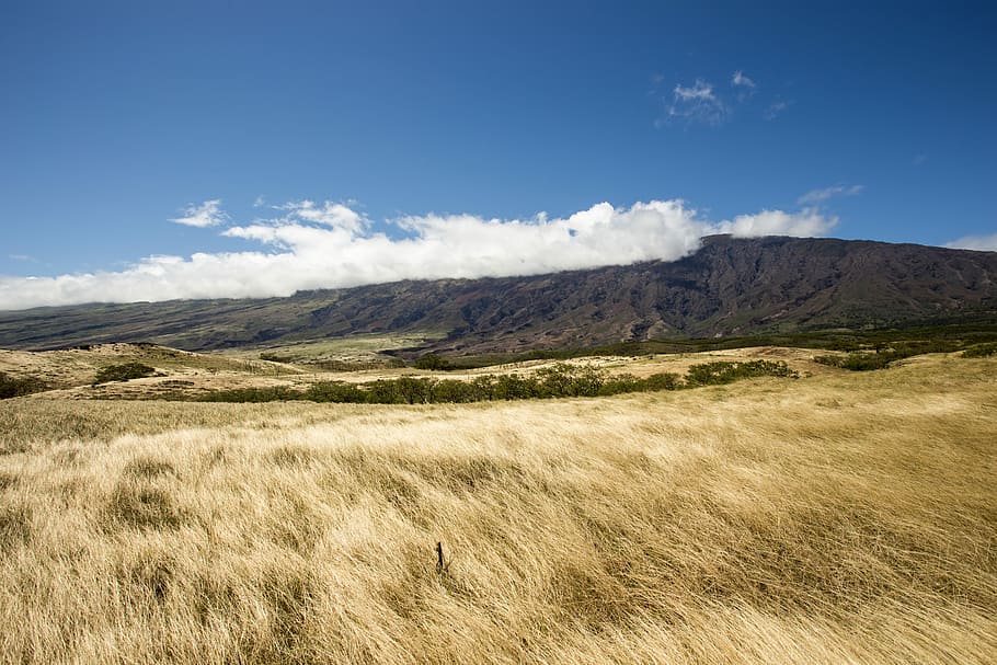landscape photo of brown grass field and mountain under blue saky, grass field panoramic photography HD wallpaper