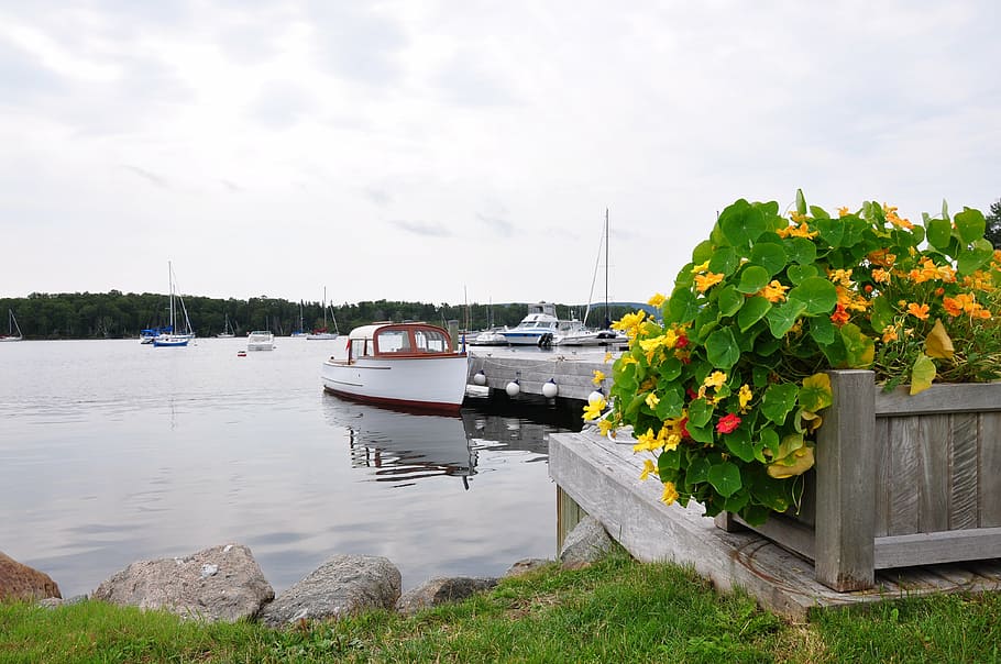 canada, cape breton, nova scotia, boot, port, h, boats in the harbor HD wallpaper