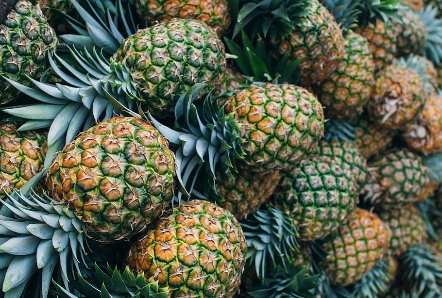 close-up photo of pineapple fruits, focus photo of pile of pineapple fruits HD wallpaper