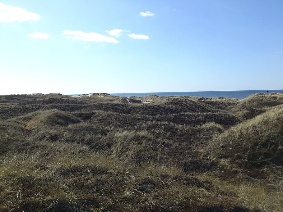 hill, dunes, green, sky, tranquility, tranquil scene, scenics - nature HD wallpaper
