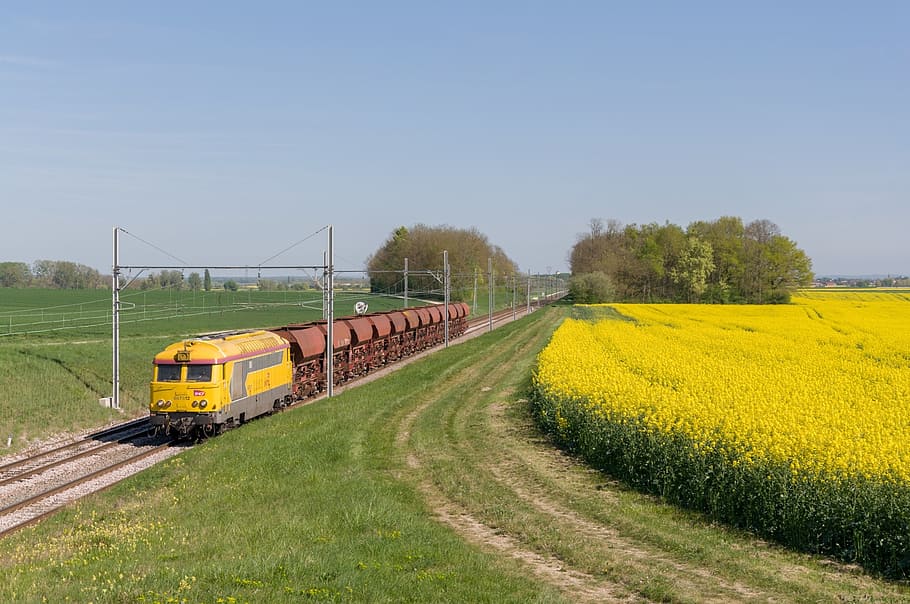 train, bb 67200, rapeseed, below, ballast, transportation, rail transportation HD wallpaper
