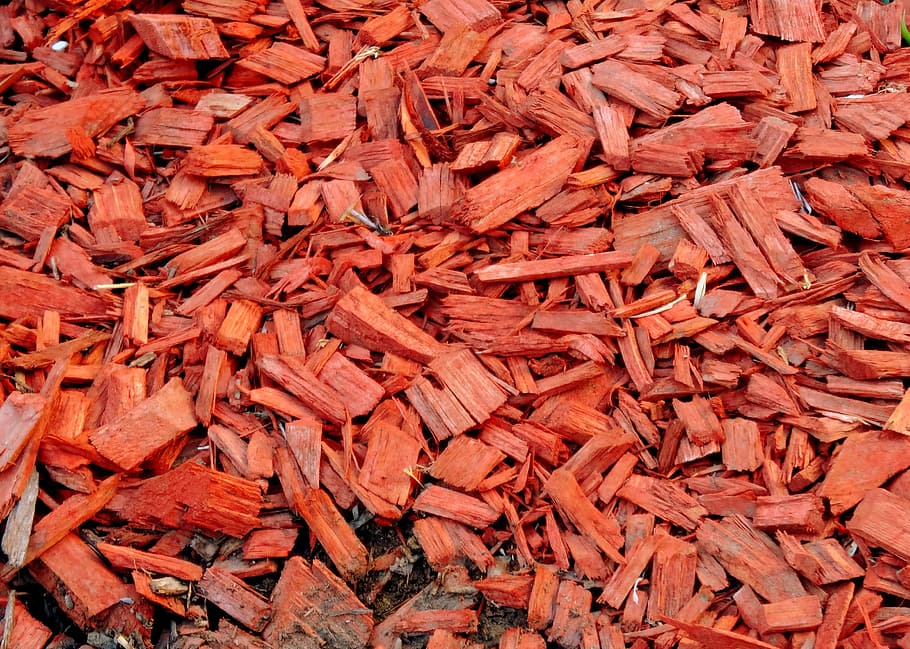 red, bark, garden path, color, wood, pattern, texture, rough HD wallpaper