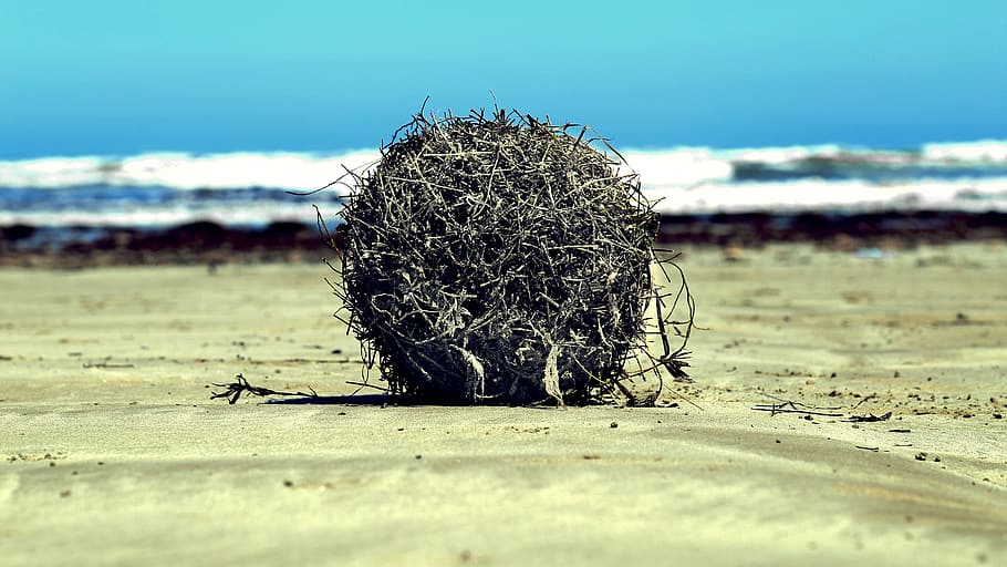 beach, sand, sunshine, land, nature, sky, day, no people, selective focus HD wallpaper