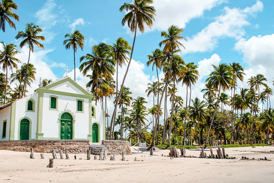 Carneiros Beach in Pernambuco Brazil, white house near green trees HD wallpaper