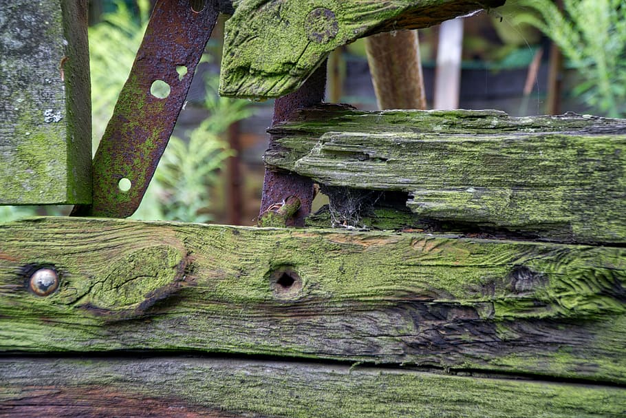 Boot, Ship, Kahn, Old, Wood, ailing, broken, müritz, background HD wallpaper