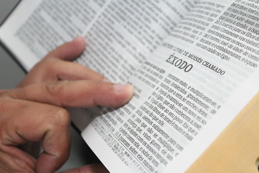 Reading, Bible, Worship, human hand, human body part, book HD wallpaper