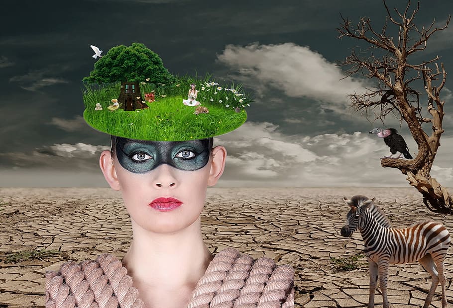 woman, zebra, and vulture abstract art, photo, desert, tree thoughtless, HD wallpaper