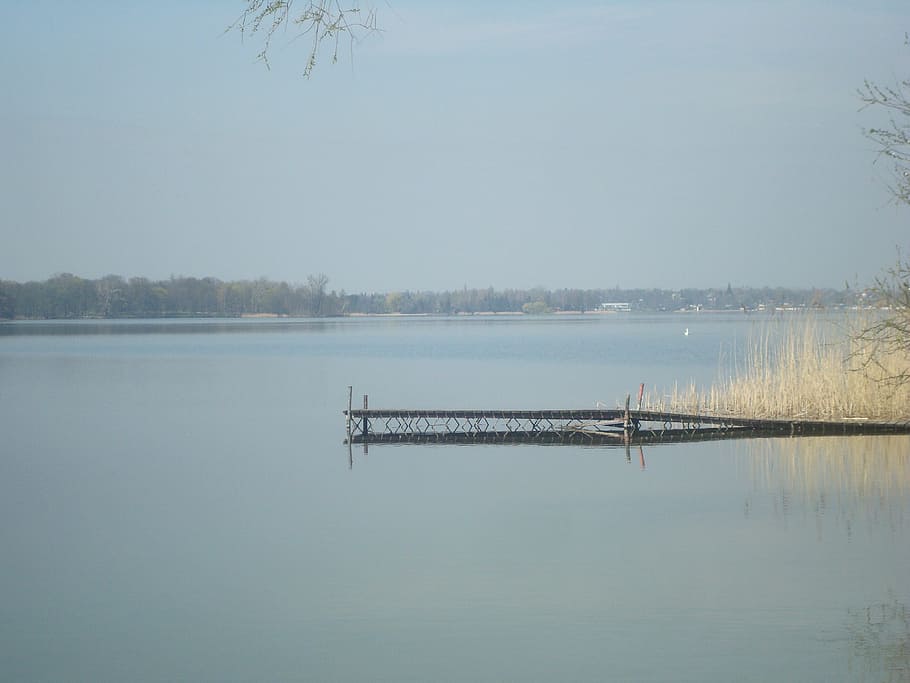bridge, lake, beach, forest, park, summer, ferie, spacer, water HD wallpaper