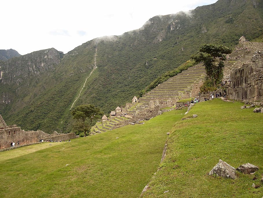Terraços de Machu Picchu, Peru, fort, photos, grass, mountains, HD wallpaper