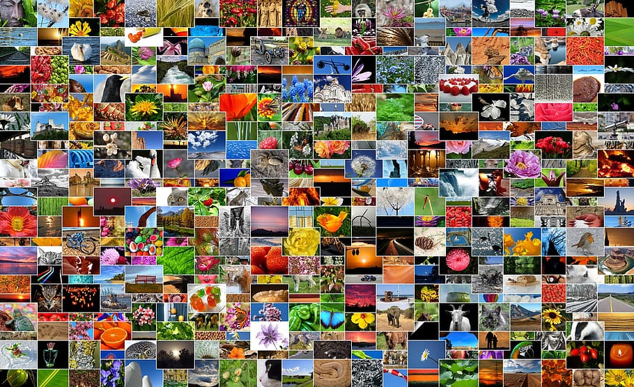 Picture album 1080P, 2K, 4K, 5K HD wallpapers free download | Wallpaper  Flare