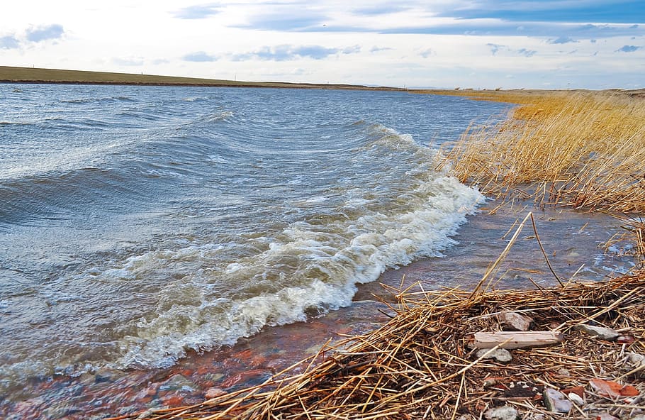 lake, water, wave, grass, reeds, sky, nature, sea, beach, land HD wallpaper