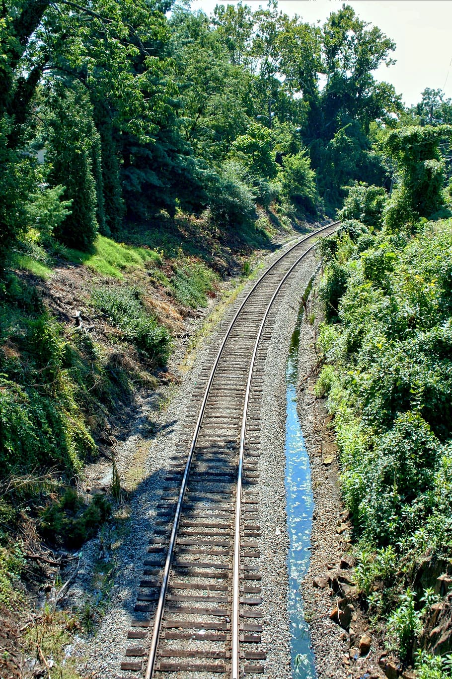 Railroad, Track, Train, Gulley, Railway, transportation, perspective HD wallpaper