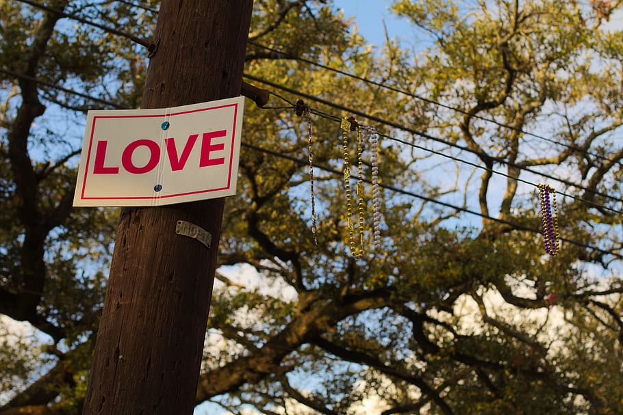 love, light pole, tree, plant, sign, communication, low angle view HD wallpaper