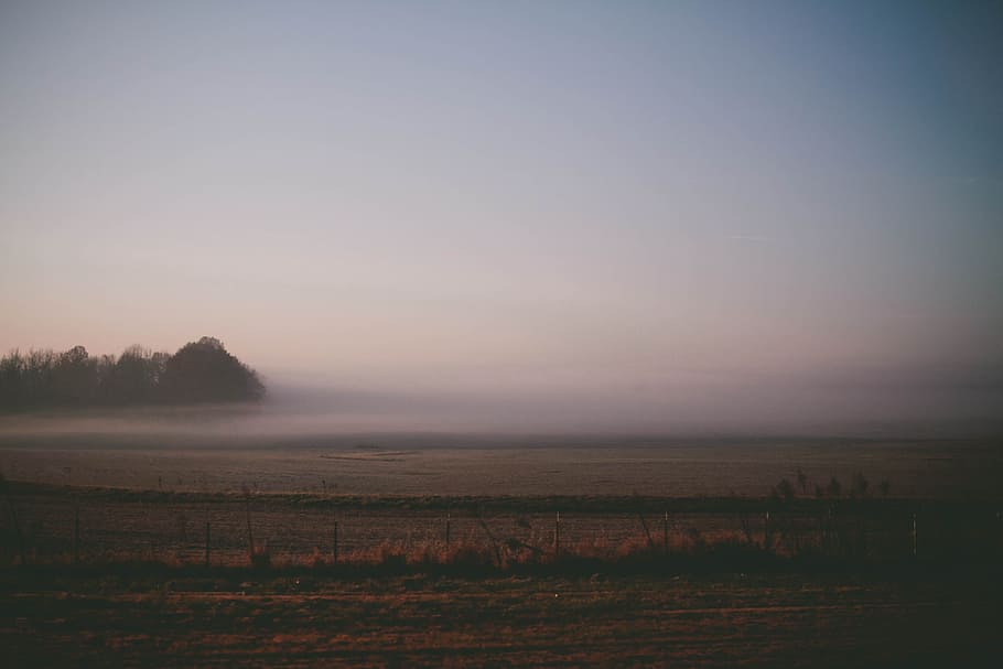 fog covered field, photo of dry field and sea, landscape, smoke HD wallpaper