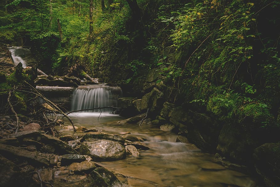 waterfalls surrounded by trees, bach, river, forest, nature HD wallpaper