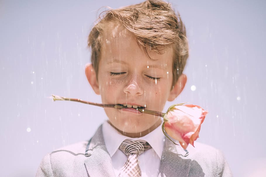 bloom, blossom, boy, child, cute, flora, portrait, rose, young HD wallpaper